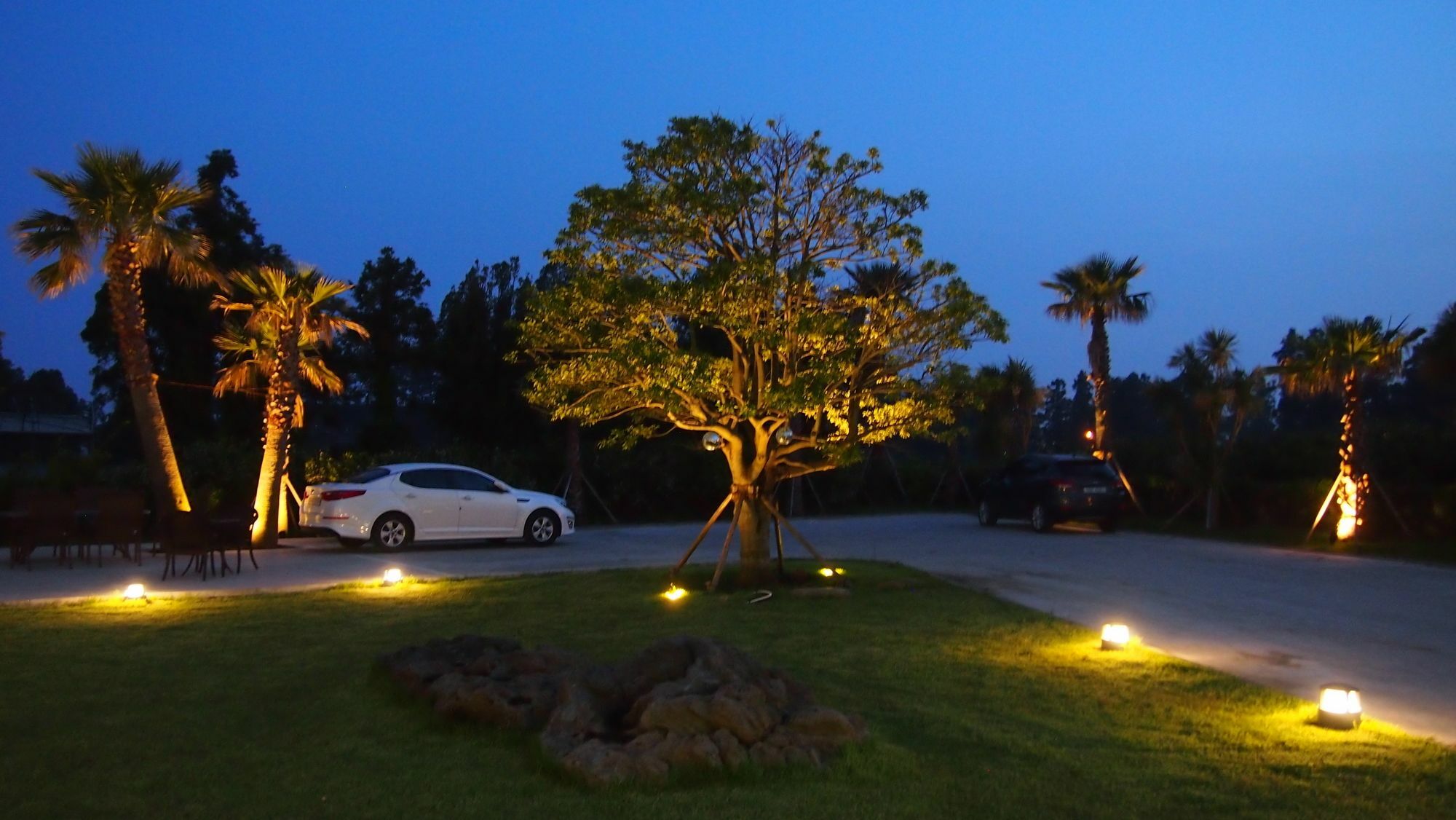 Eridu Cafe N Beds Hotel Seogwipo Exterior foto